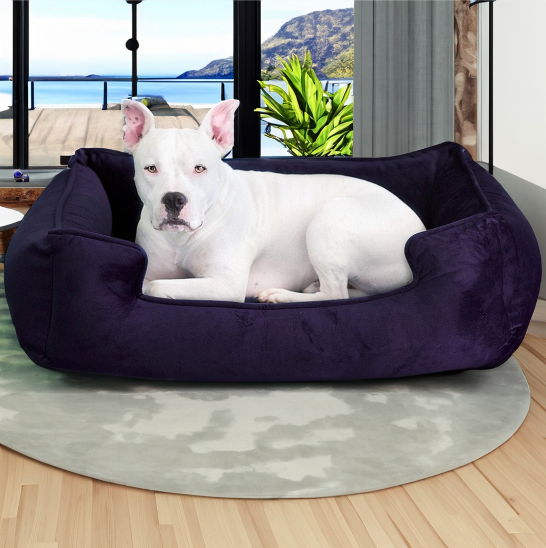 Harmony lounger dog bed hotsell