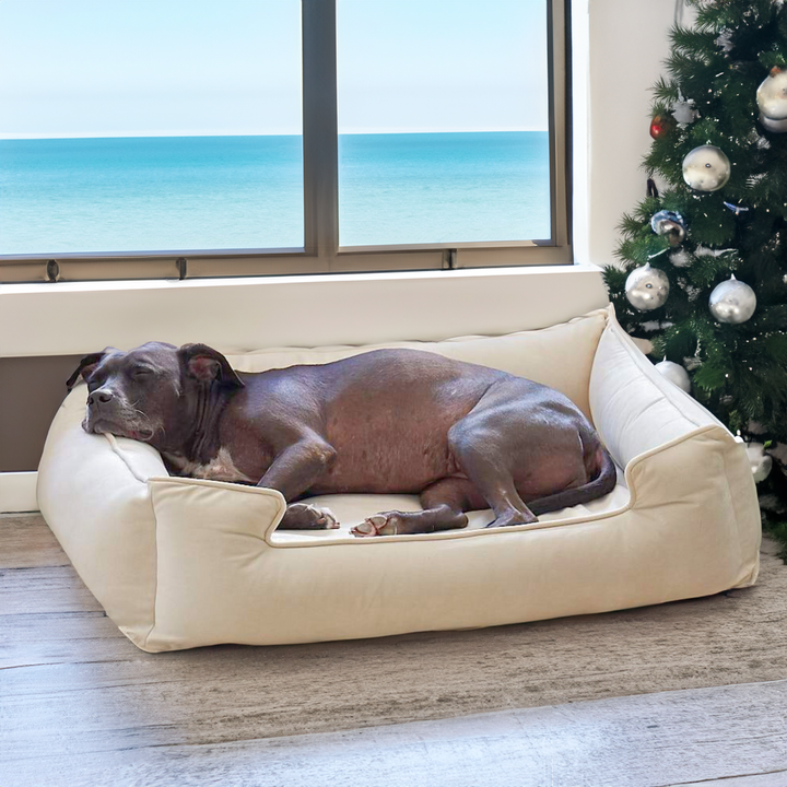 Ali Jewel Ortho Lounger® Companion-Pedic® Luxury Dog Bed