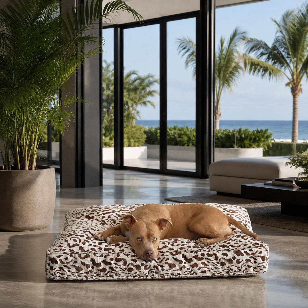 Animals Matter Animal Print Floor Pillow Chocolate Leopard luxury dog bed in a coastal living room with ocean views and greenery, featuring a brown Companion resting on a plush leopard-print floor pillow.