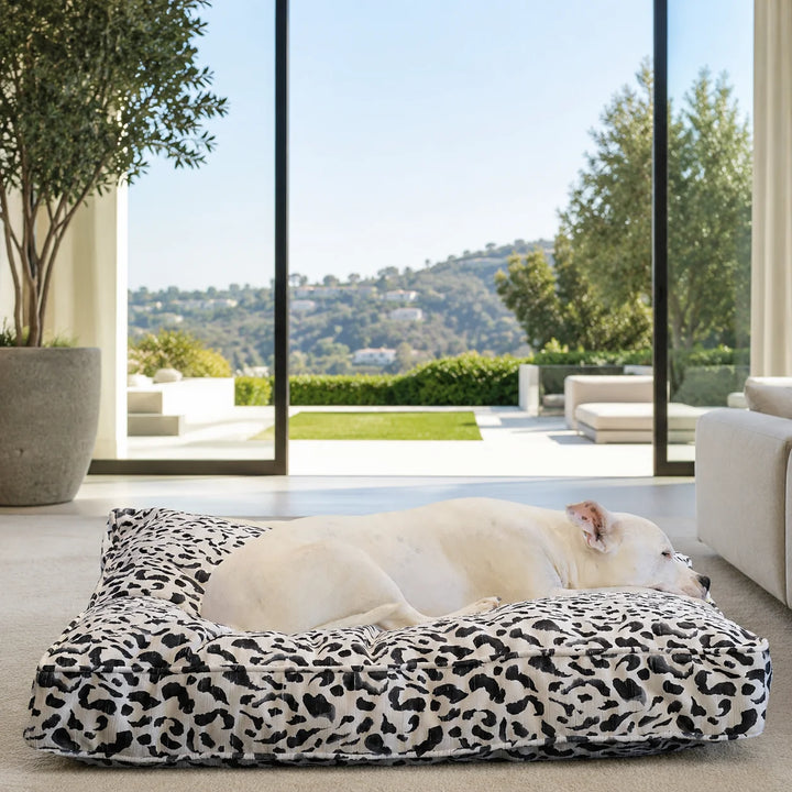 Animals Matter animal print luxury dog bed in a bright modern living room with hillside greenery views, featuring a white dog resting on a black and white leopard-print bed.