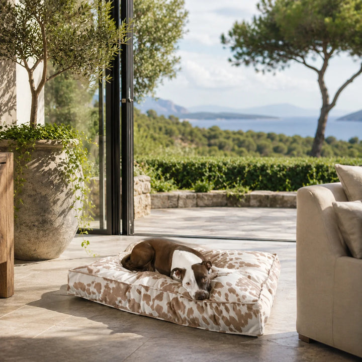 Animals Matter Animal Print Floor Pillow Camel Cow luxury dog floor pillow in a sunlit indoor-outdoor living room, featuring a Companion resting with greenery and ocean views