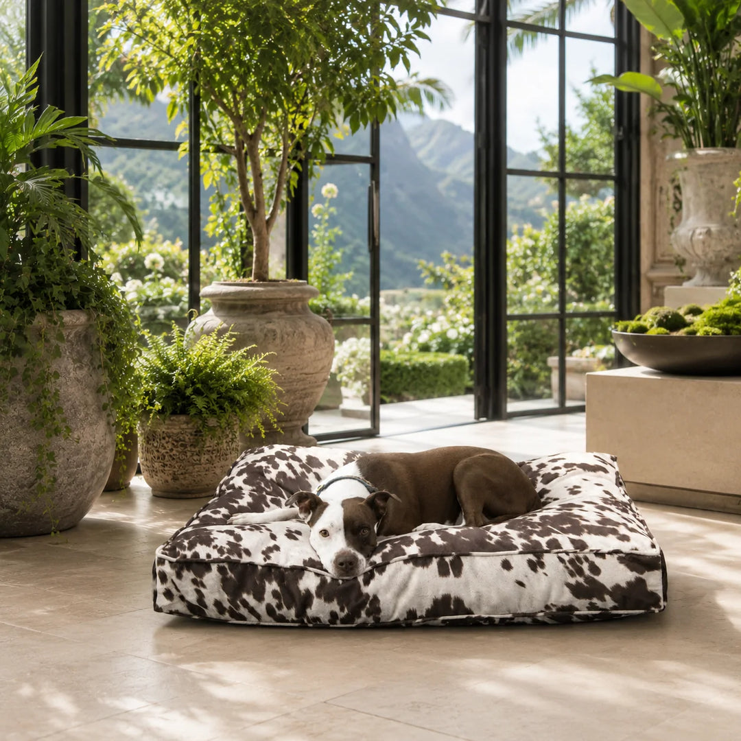 Animals Matter Animal Print Floor Pillow Brown Cow luxury dog floor pillow in a sunlit conservatory, featuring a Companion resting on a brown cow-print bed
