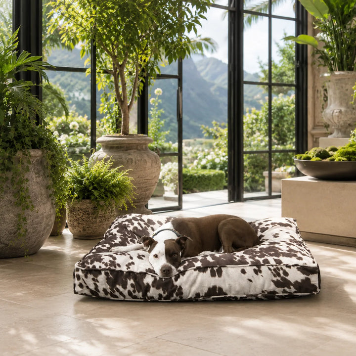 Animals Matter Animal Print Floor Pillow Brown Cow luxury dog floor pillow in a sunlit conservatory, featuring a Companion resting on a brown cow-print bed