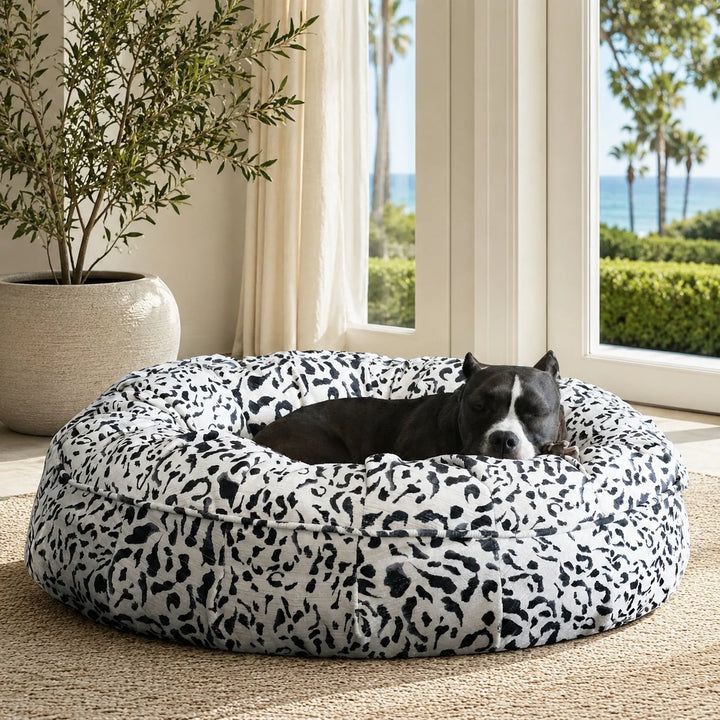 Animals Matter Animal Print Ortho Puff Black Leopard luxury orthopedic dog bed in a bright coastal room with greenery, ocean views, and a resting Companion.