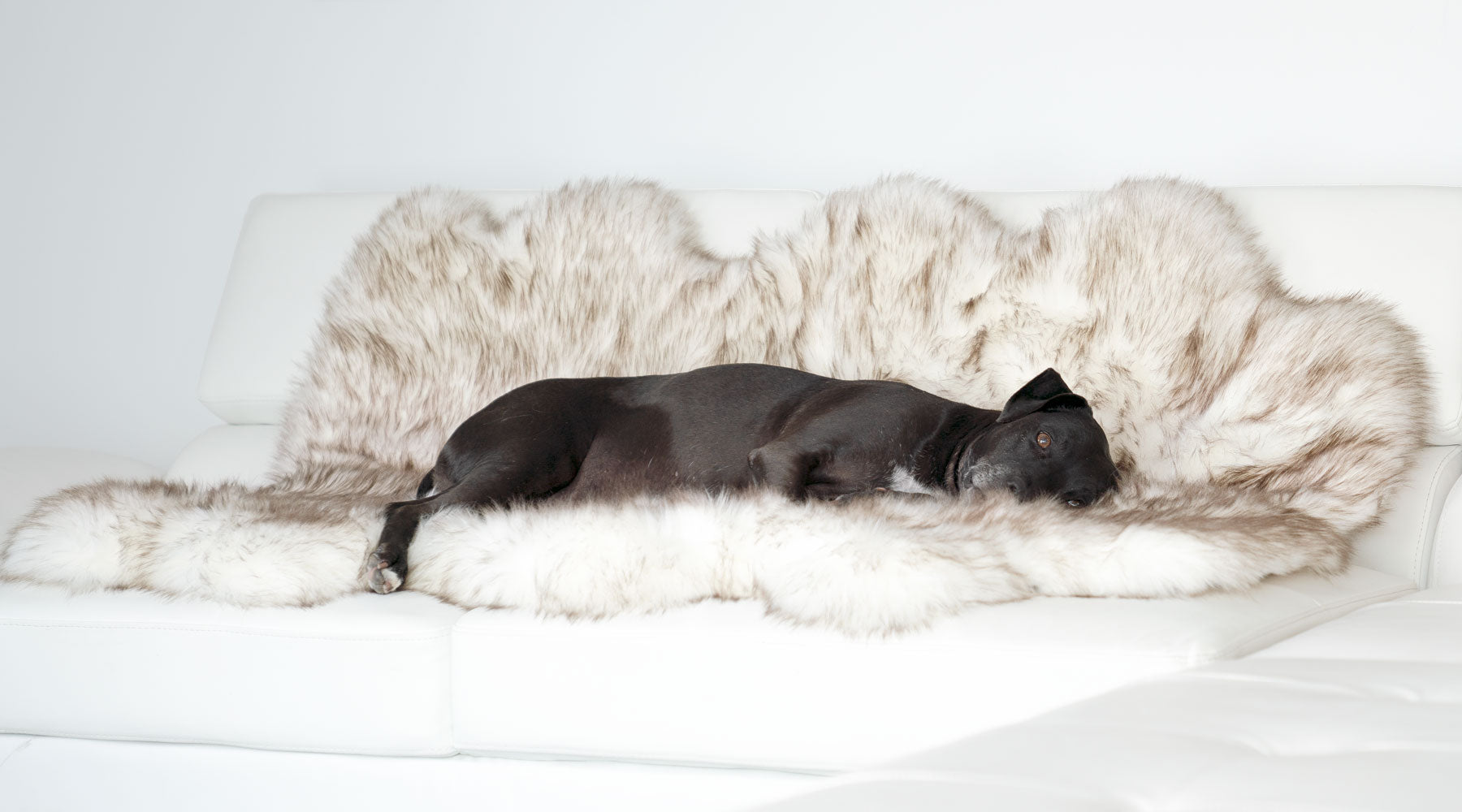 Animals Matter Faux Fur Shag Luxury Dog Blanket Brown Tip White