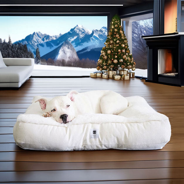 Hudson laying in the Ruby Puff® Ortho Square Companion-Pedic® Luxury Faux Fur Dog Bed in a beautiful winter luxe home with open views of the mountains 