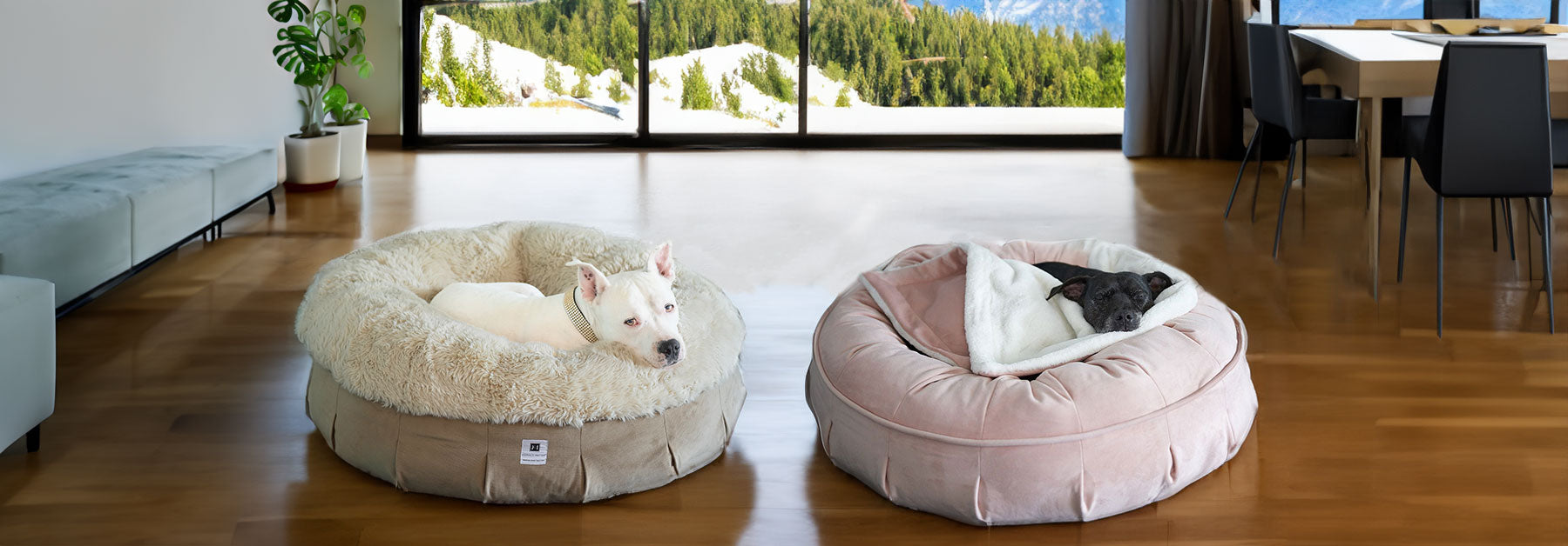 A picture of our Puff style luxury dog beds , hudson the white dog is on the NEW: Roxy Ortho Puff® Companion-Pedic® Luxury Dog Bed, and pearl is using the Ali Jewel® Ortho Puff™ Companion-Pedic® Luxury Dog Bed both part of our luxury dog beds by animals matter 