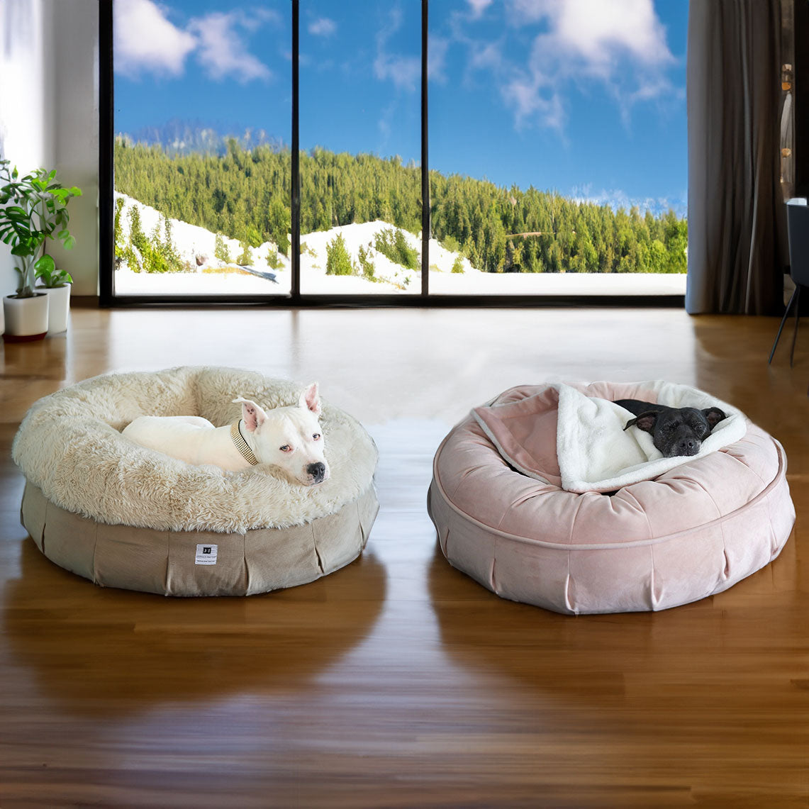 A picture of our Puff style luxury dog beds , hudson the white dog is on the NEW: Roxy Ortho Puff® Companion-Pedic® Luxury Dog Bed, and pearl is using the Ali Jewel® Ortho Puff™ Companion-Pedic® Luxury Dog Bed both part of our luxury dog beds by animals matter 