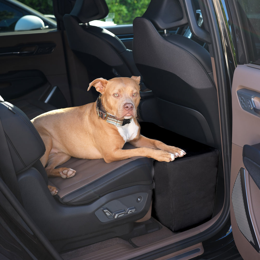 Animals Matter Companion Backseat Extender For Dogs Black