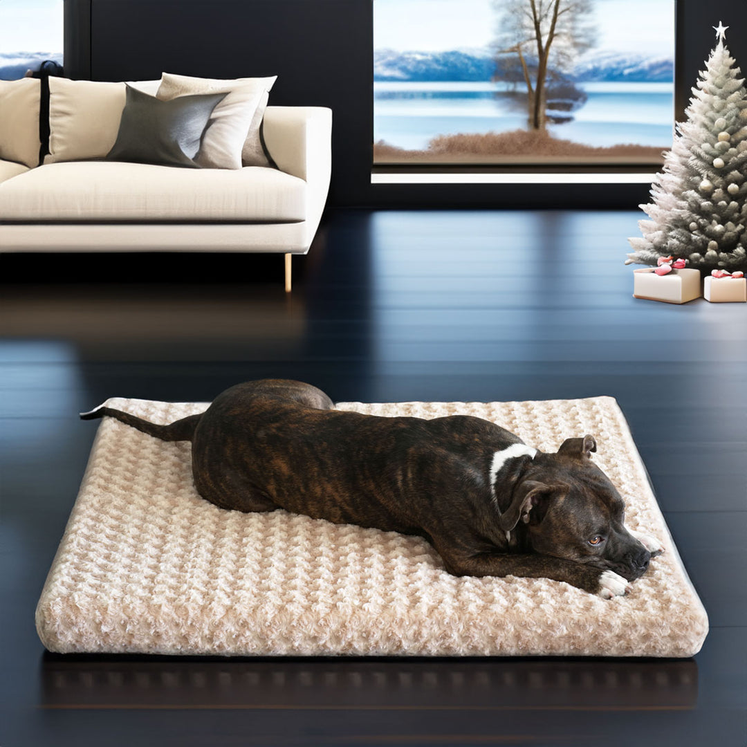 Animals Matter Katie Ortho Rectangle Companion-Pedic Orthopedic Luxury Dog Bed