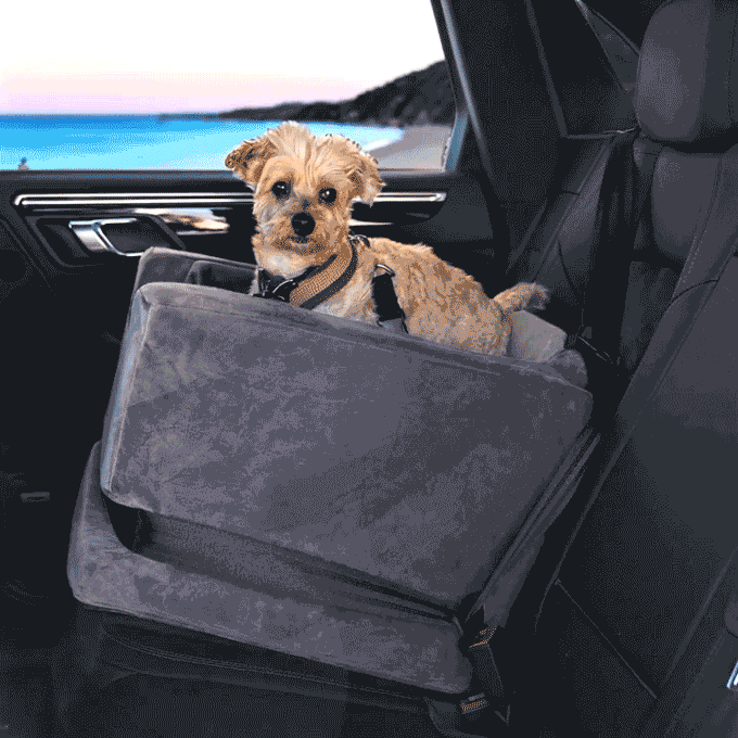 Companion Car Seat®