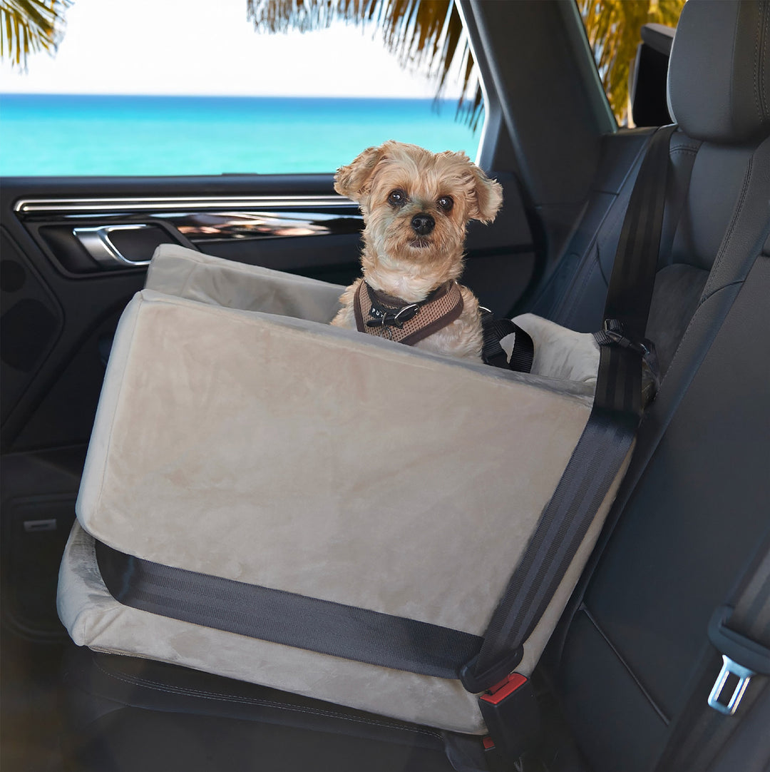 A picture of a dog in the Animals Matter Luxury Dog Car Seat, also known as the Companion Car Seat For Dogs