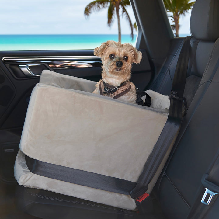 A picture of a dog in the Animals Matter Luxury Dog Car Seat, also known as the Companion Car Seat For Dogs