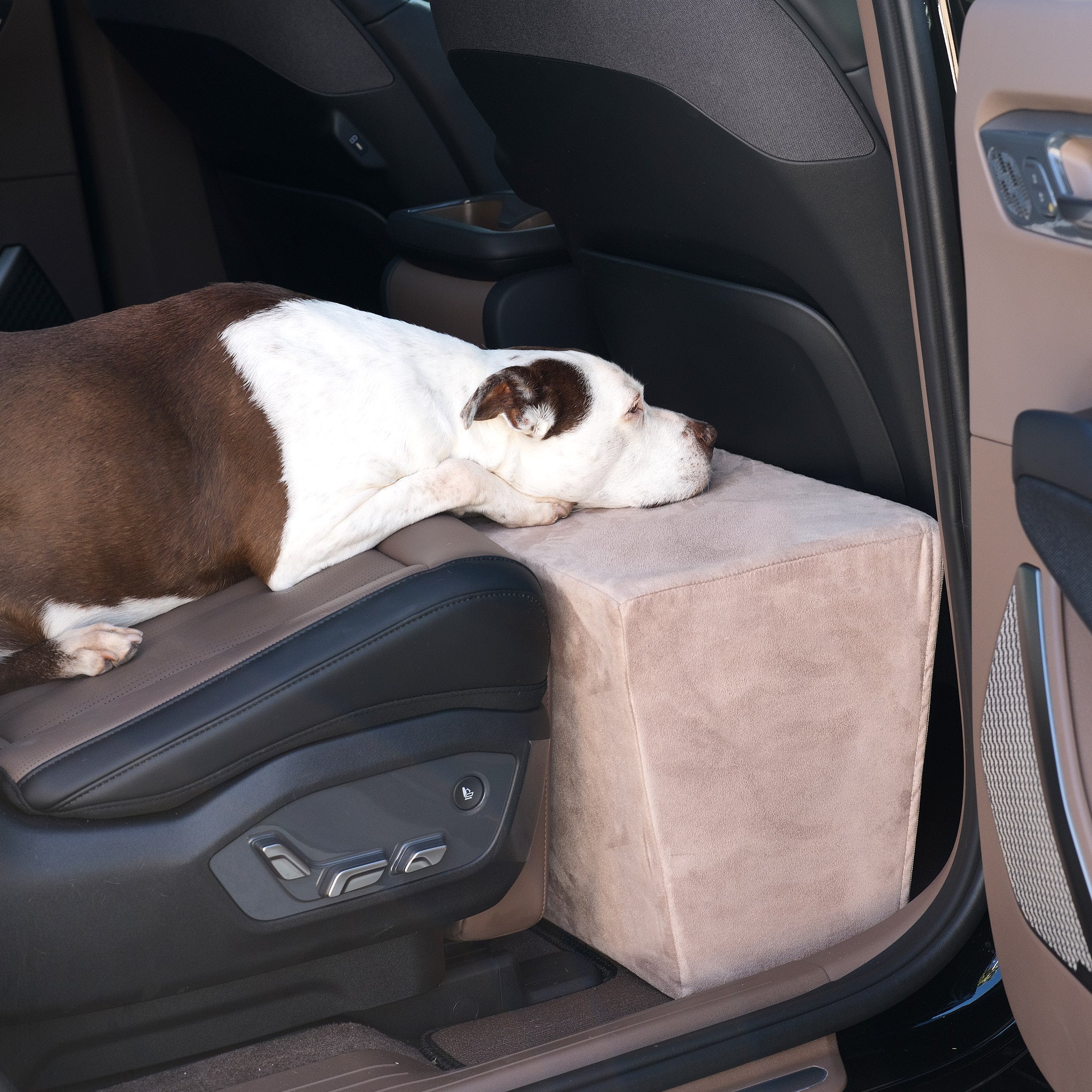 Foam dog car seat hotsell