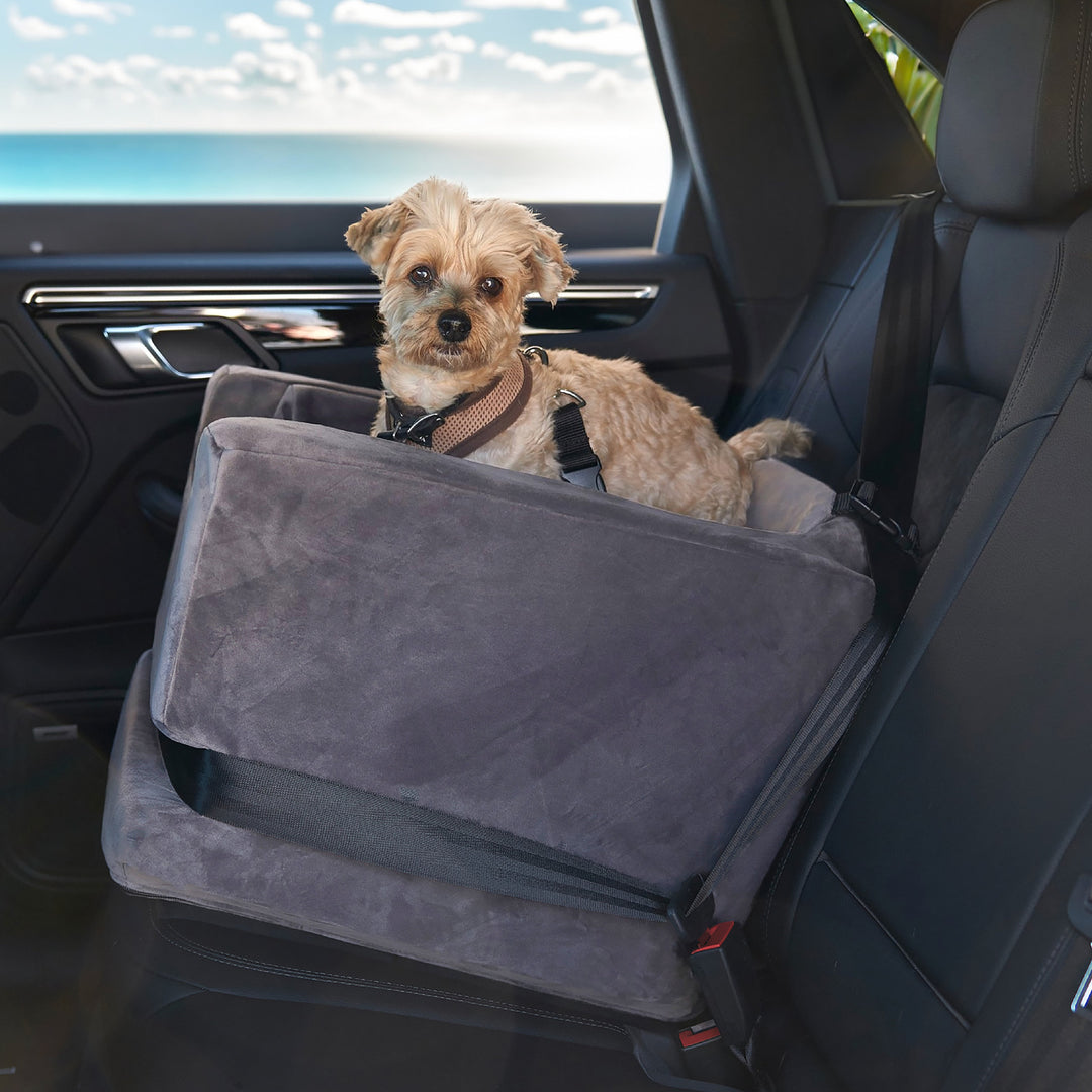 A picture of a dog in the Animals Matter Luxury Dog Car Seat, also known as the Companion Car Seat For Dogs