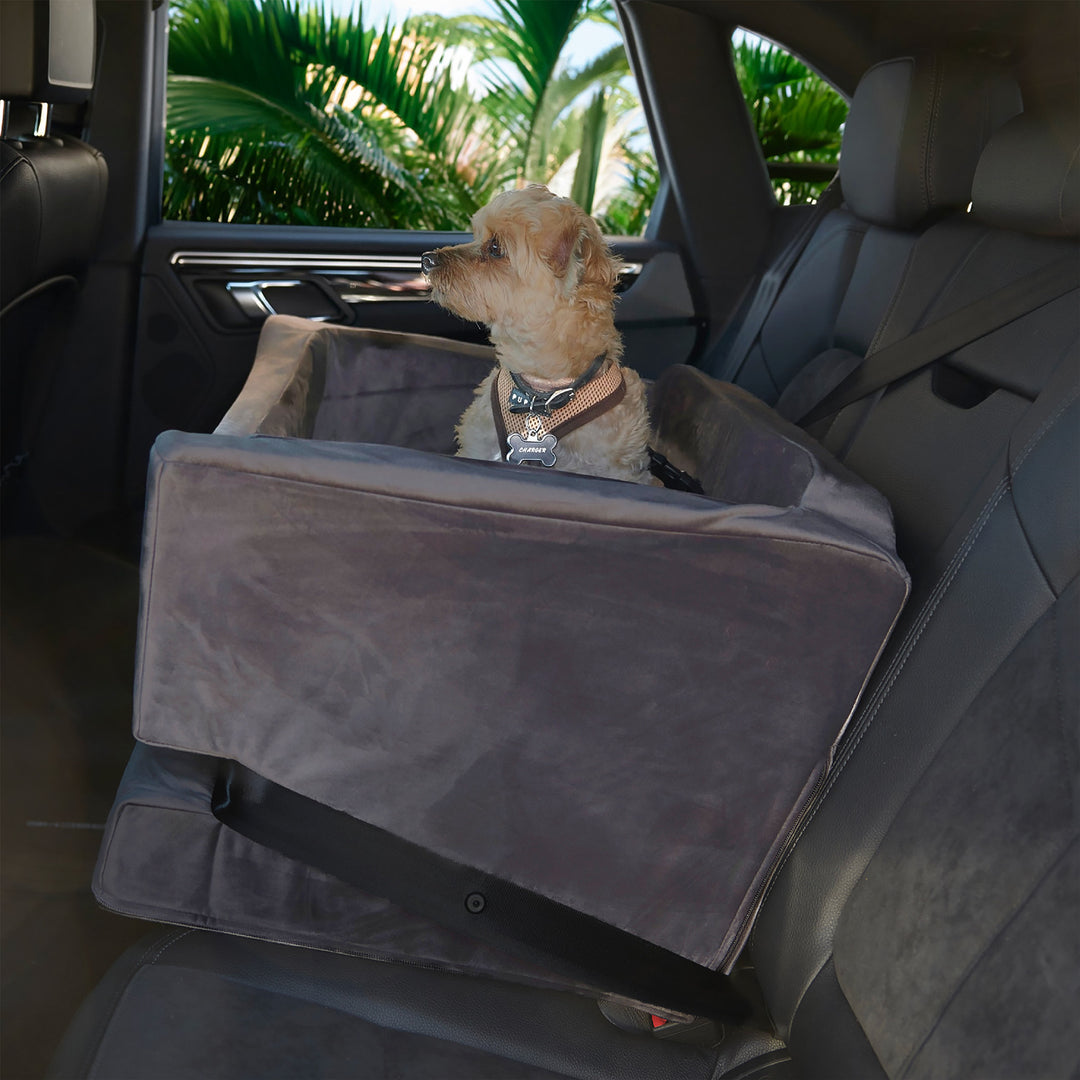 A picture of a dog in the Animals Matter Luxury Dog Car Seat, also known as the Companion Car Seat For Dogs