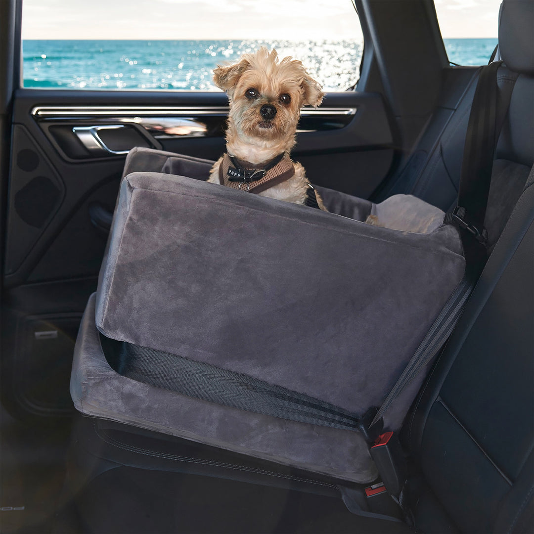 A picture of a dog in the Animals Matter Luxury Dog Car Seat, also known as the Companion Car Seat For Dogs