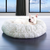 Ruby Laying in her New Animals Matter pearl leopard donut luxury dog bed
