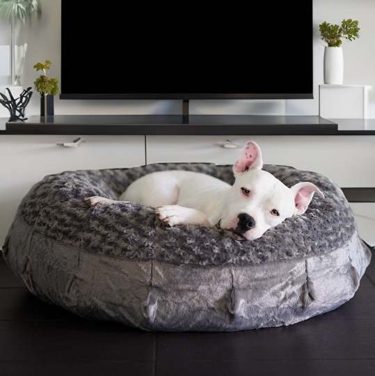 Katie Puff® Ortho Companion-Pedic® Luxury Dog Bed - Animals Matter, Inc.