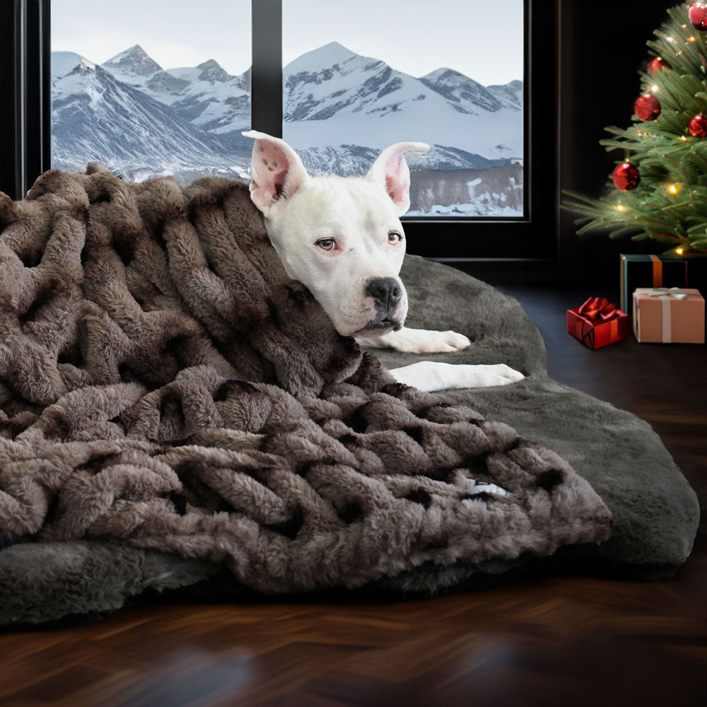 Cocoa and Brown Companion Ruche Luxury Dog Blanket