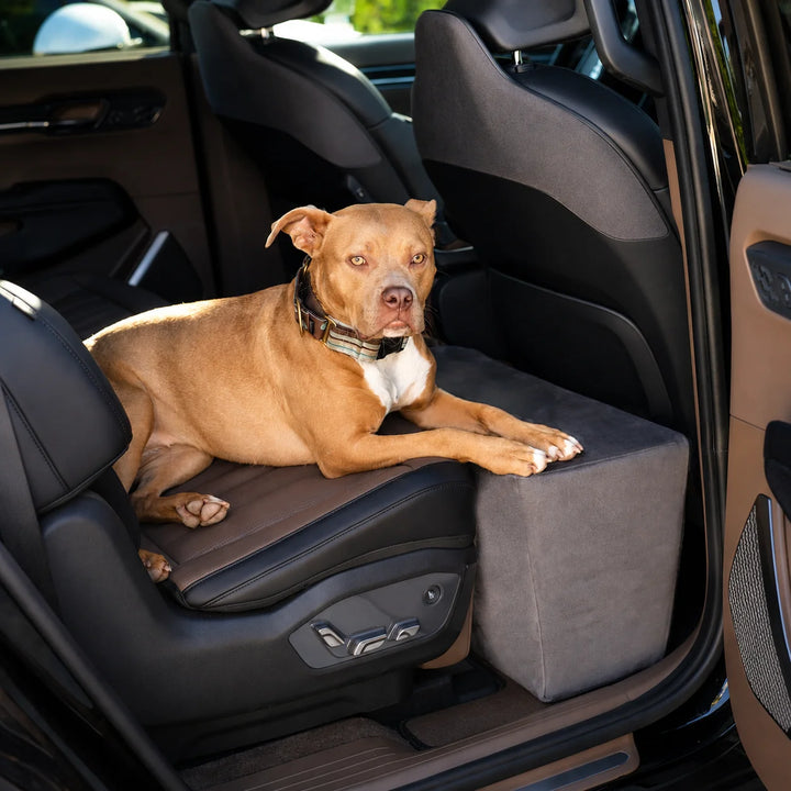 Animals Matter Companion Back Seat Extender Charcoal dog car seat extender, featuring a tan Companion resting comfortably in a vehicle back seat.