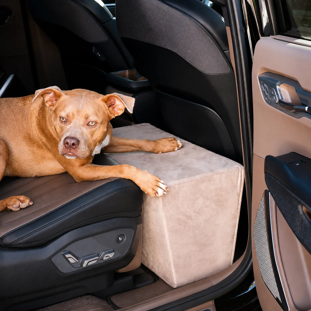 Animals Matter Companion Back Seat Extender dog car seat extender in Stone, featuring a tan dog beside the padded platform in an open car back seat.