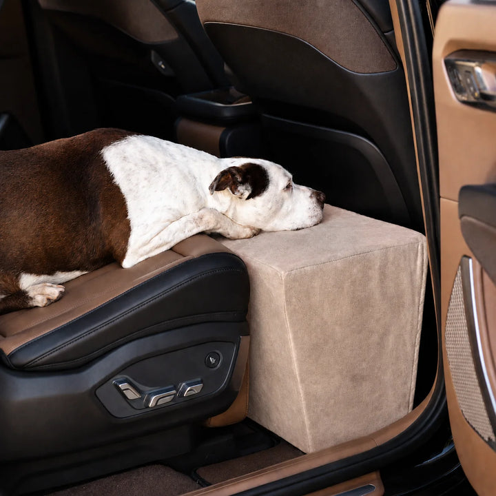 Animals Matter Companion Back Seat Extender Stone dog car seat extender, featuring a resting Companion in a vehicle back seat with a stone seat extender.