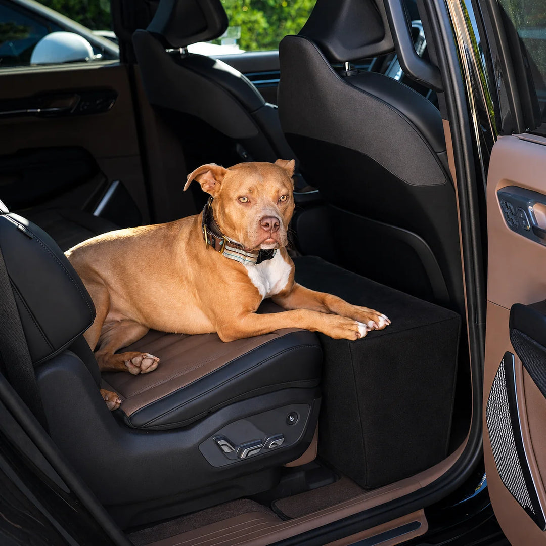 Animals Matter Companion Back Seat Extender Black dog car seat extender, featuring a tan Companion relaxing across a vehicle back seat with extended support.