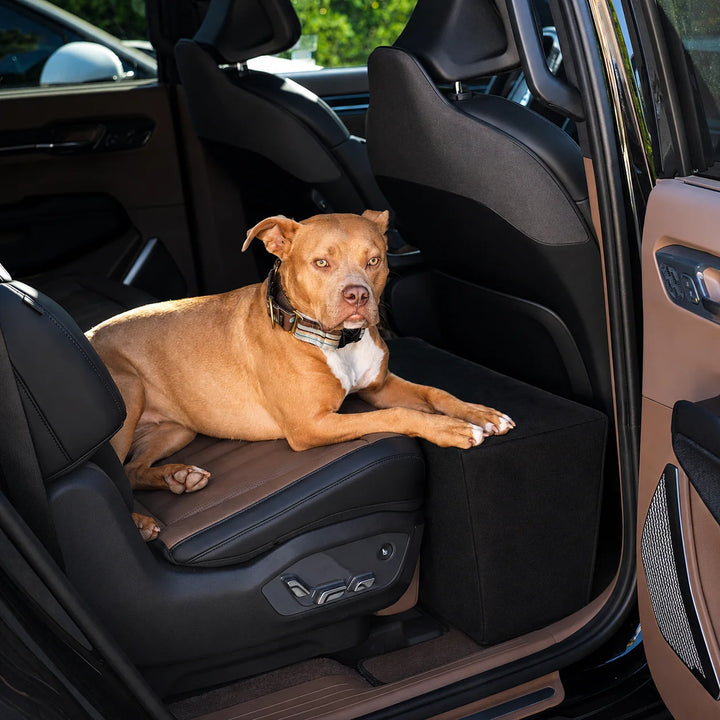 Animals Matter Companion Back Seat Extender Black dog car seat extender, featuring a tan Companion relaxing across a vehicle back seat with extended support.