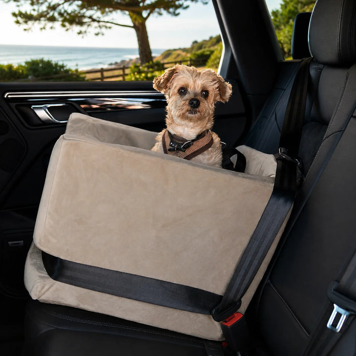 Animals Matter Companion Car Seat 2X - Camel luxury dog car seat in a coastal vehicle, featuring a small tan dog secured in a plush camel seat with black straps.