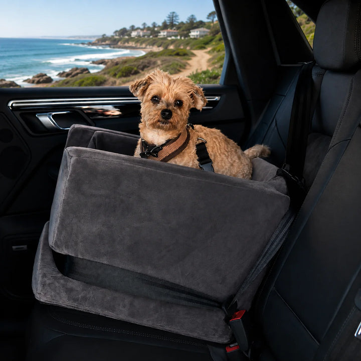 Animals Matter Companion Car Seat 2X - Charcoal luxury dog car seat in a coastal vehicle, featuring a small tan dog secured in a plush charcoal seat.