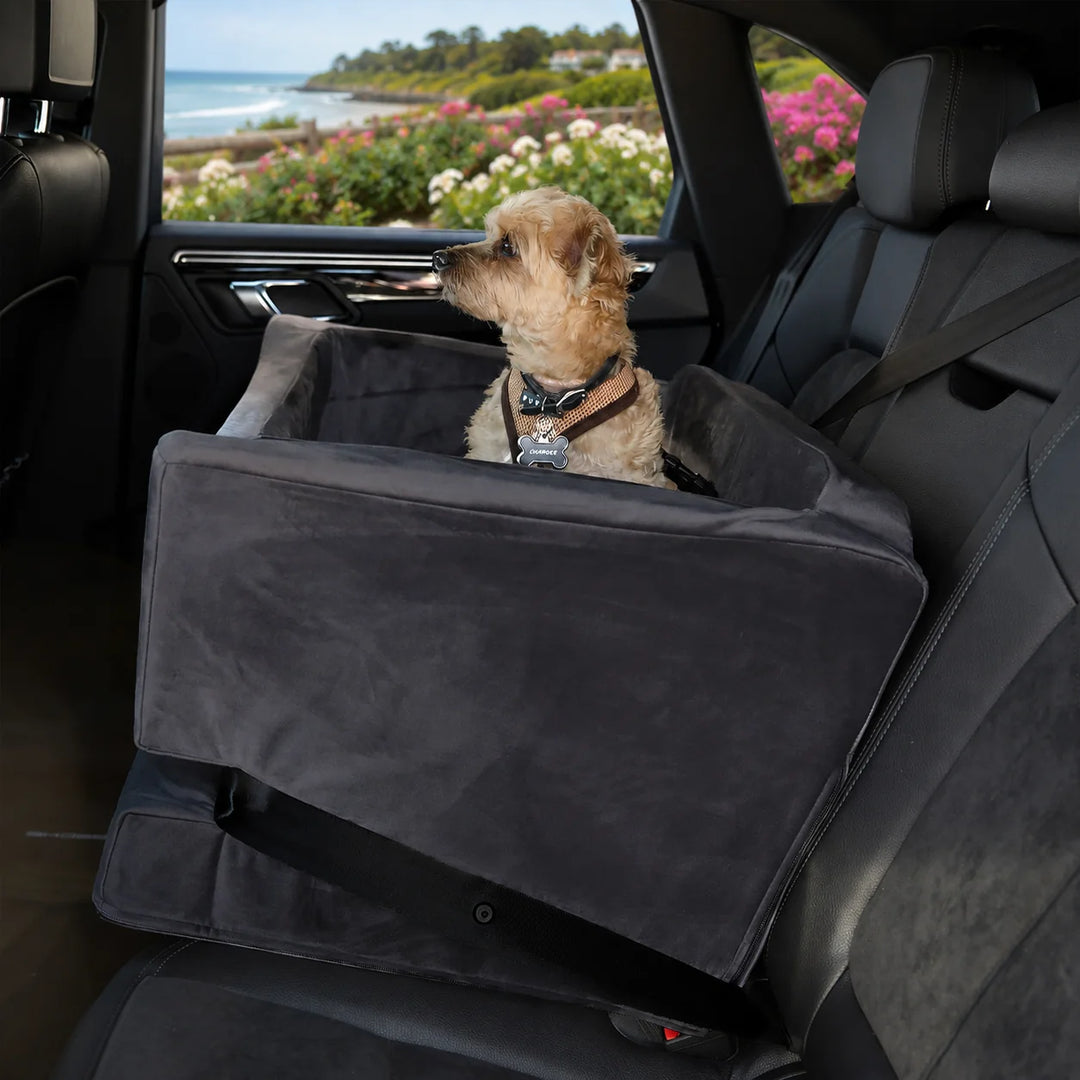 Animals Matter Companion Car Seat 3X - Charcoal luxury dog car seat in a coastal vehicle, featuring a small tan dog secured in a plush charcoal seat.