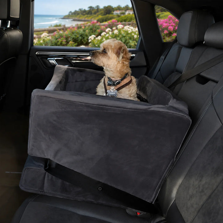 Animals Matter Companion Car Seat 3X - Charcoal luxury dog car seat in a coastal vehicle, featuring a small tan dog secured in a plush charcoal seat.