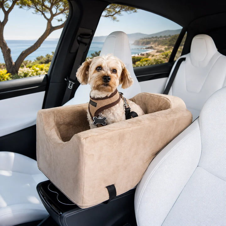 Animals Matter Companion Car Seat Console dog car seat console in camel, featuring a small dog in a padded console seat inside a white car with coastal view.