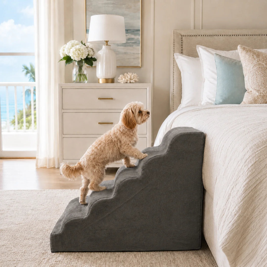 Animals Matter Companion Ramp in Charcoal, featuring a small cream Companion climbing toward a bed in a bright coastal bedroom.