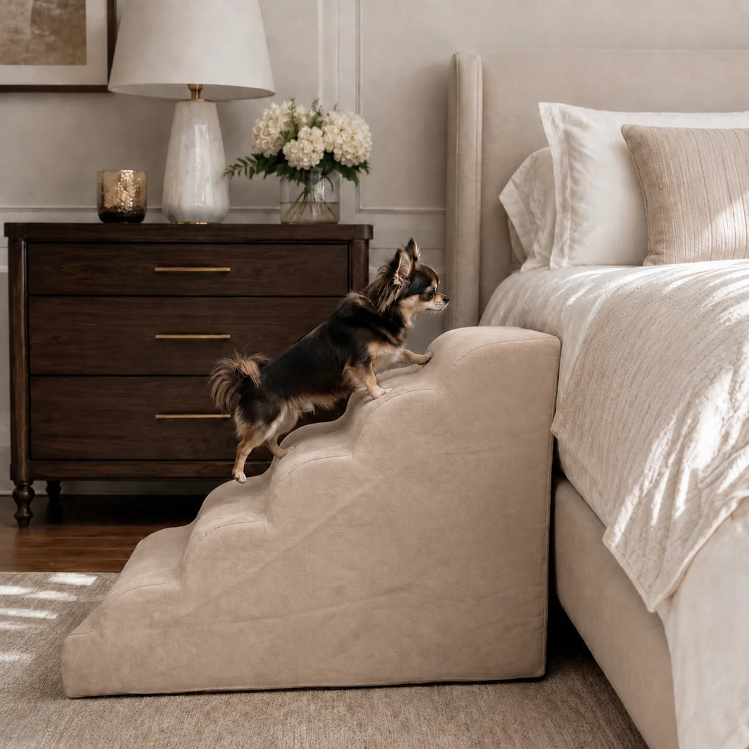 Animals Matter Companion Ramp luxury dog ramp in Stone, featuring a small Companion climbing a beige upholstered bedside ramp.