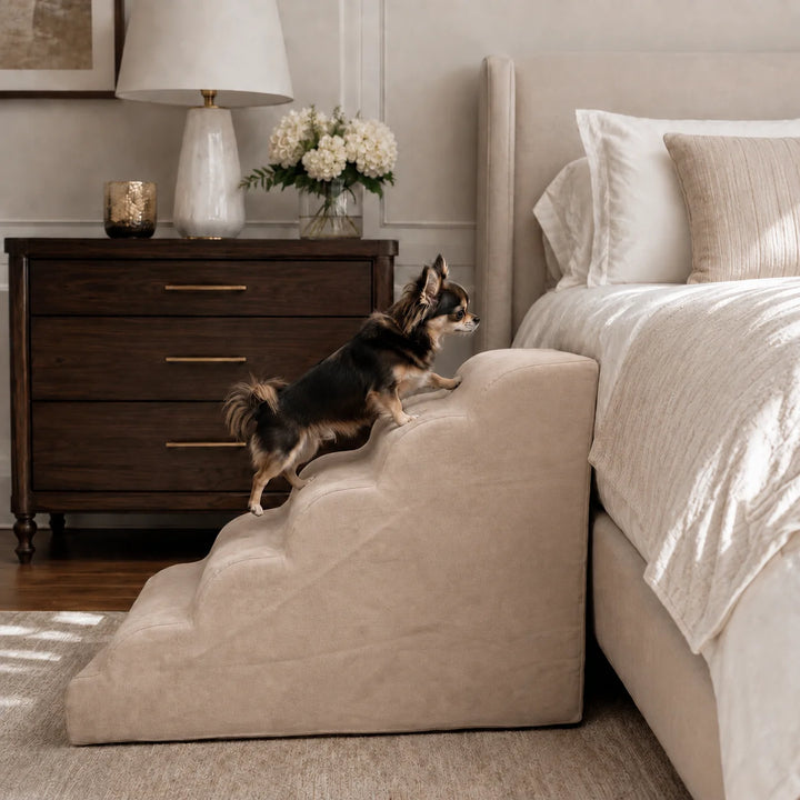 Animals Matter Companion Ramp luxury dog ramp in Stone, featuring a small Companion climbing a beige upholstered bedside ramp.