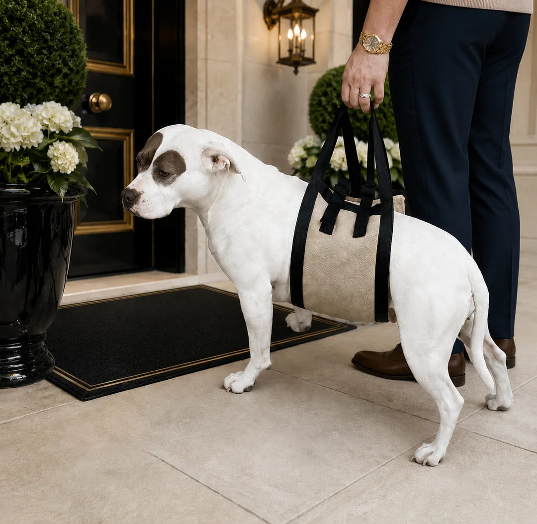 Animals Matter Companion Mobility Harness in beige and black, featuring a supportive dog lift harness for safer Companion mobility assistance.