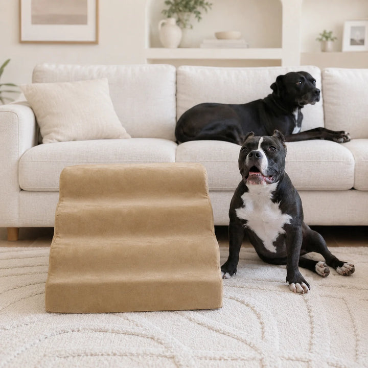 Animals Matter Companion Ramp luxury dog sofa ramp in camel, featuring a tan upholstered pet ramp beside two black dogs in a bright neutral living room.