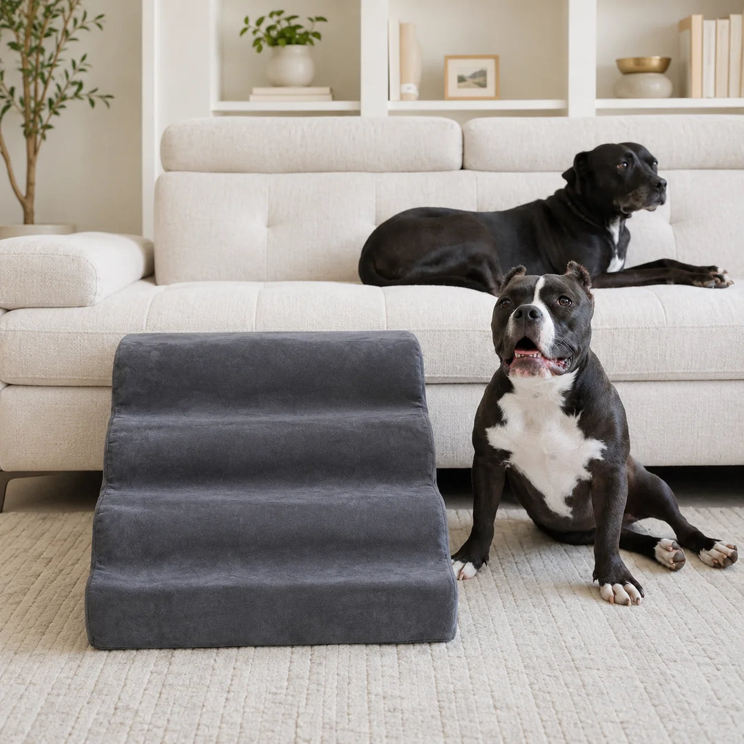 Animals Matter Companion Ramp luxury dog sofa ramp in charcoal, featuring a gray upholstered pet ramp with two black dogs in a bright neutral living room.