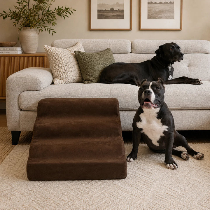 Animals Matter Companion Ramp luxury dog sofa ramp in chocolate, featuring a brown upholstered pet ramp beside two black dogs in a warm neutral living room.