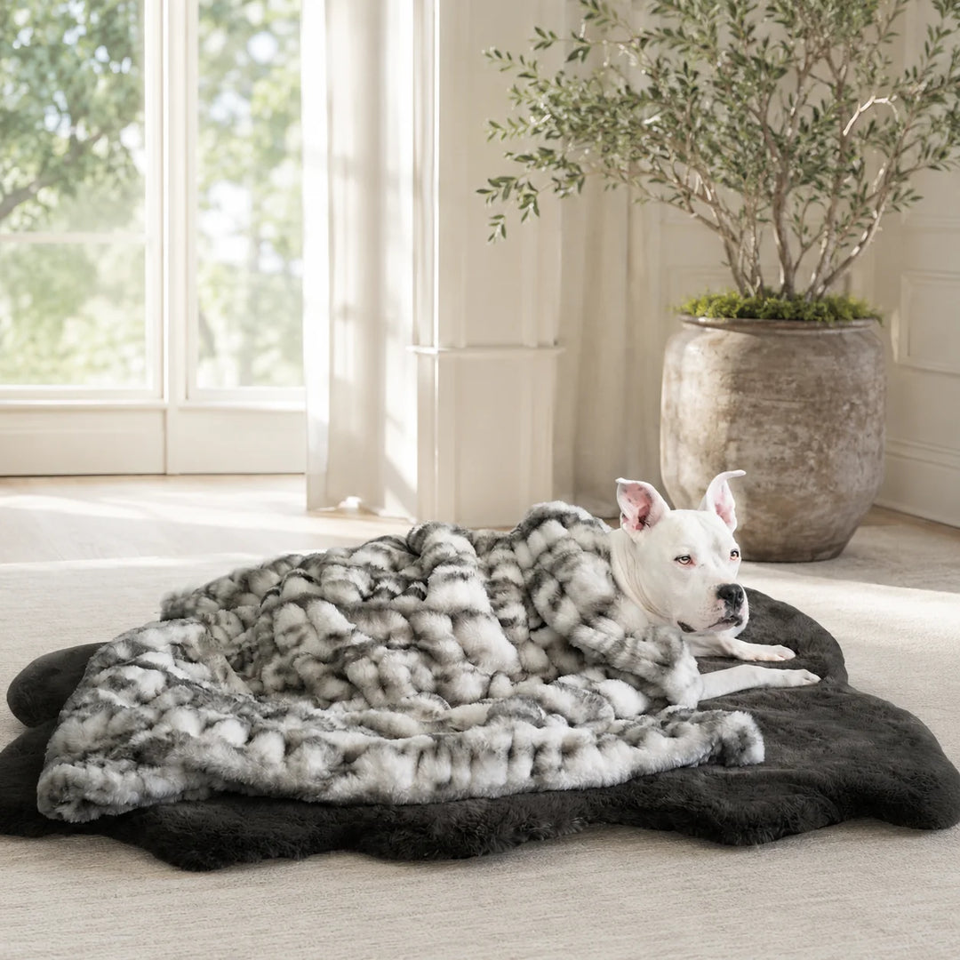 Animals Matter Companion Ruche® Blanket luxury faux fur dog blanket in Black & White Marble, featuring a white Companion resting in a bright room.