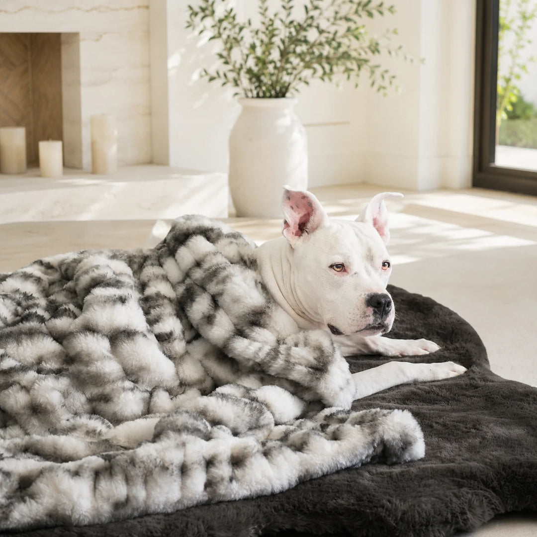 Animals Matter Companion Ruche® Blanket luxury faux fur dog blanket in Black & White Marble, shown close up with a white Companion on a plush bed.