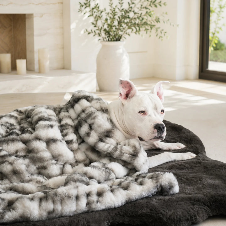 Animals Matter Companion Ruche® Blanket luxury faux fur dog blanket in Black & White Marble, shown close up with a white Companion on a plush bed.