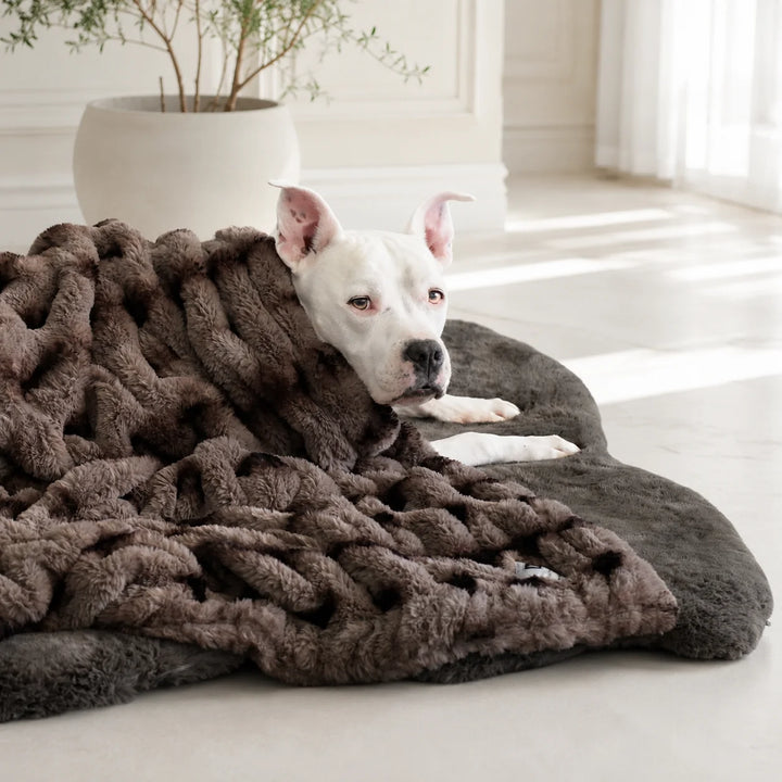 Animals Matter Companion Ruche® Blanket luxury faux fur dog blanket in Cocoa Brown, featuring a white Companion on a charcoal plush bed.