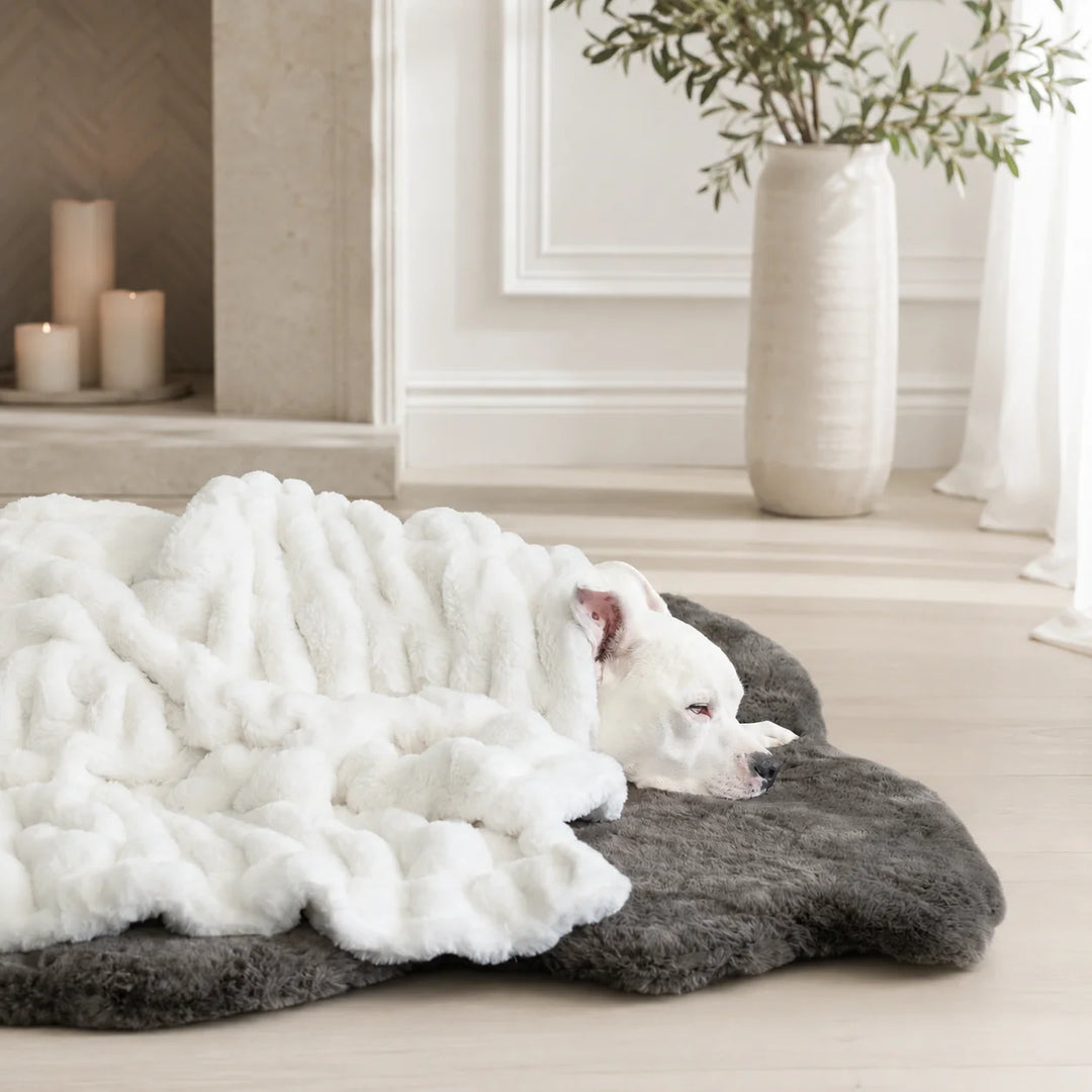 Animals Matter Companion Ruche® Blanket luxury faux fur dog blanket in White, featuring a white Companion resting on a charcoal plush bed near a fireplace.