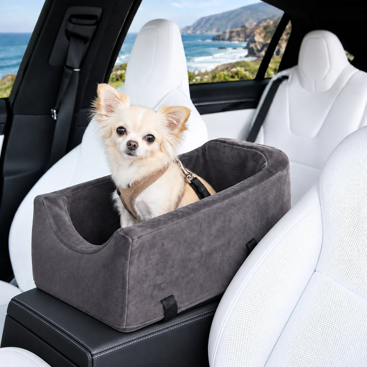Animals Matter Companion Car Seat SUV Console™ in Charcoal, a luxury console dog car seat with a small cream Companion inside a white SUV overlooking the coast.