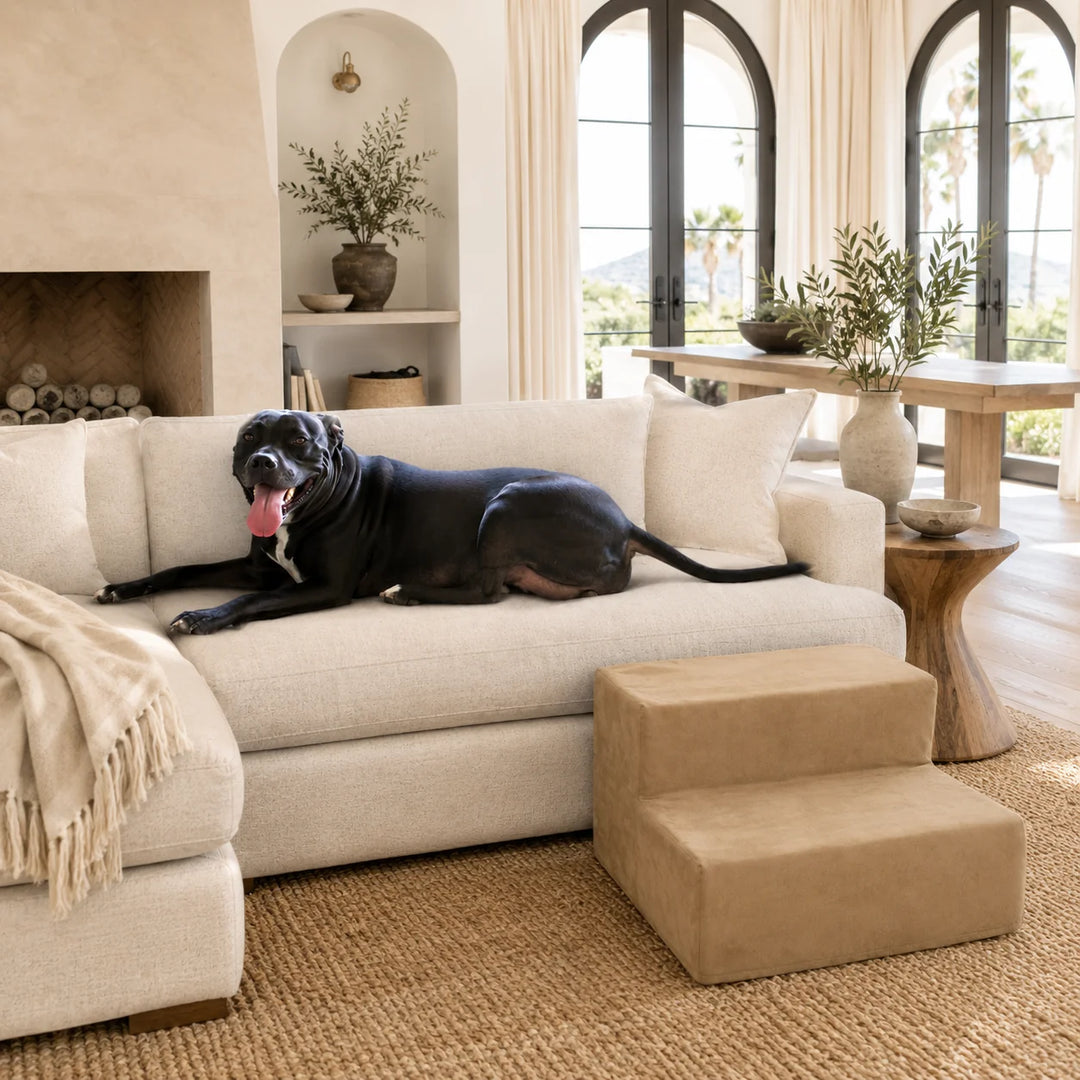 Animals Matter Companion Stairs 2 Step Camel luxury dog stairs in a bright Mediterranean living room, featuring a black Companion on a cream sofa beside camel pet steps.
