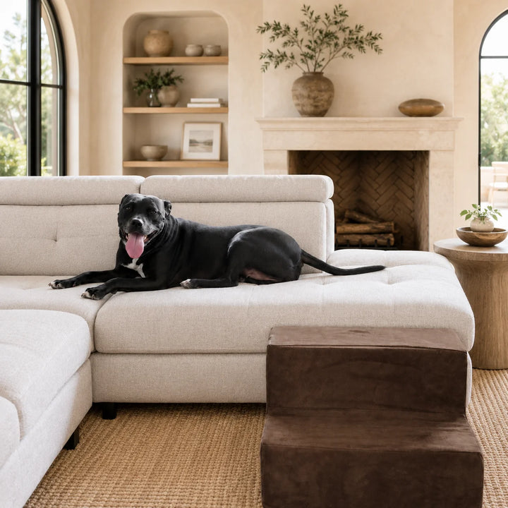 Animals Matter Companion Stairs 2 Step Chocolate luxury dog stairs in a warm Mediterranean living room, featuring a black Companion on a cream sofa beside chocolate pet steps.