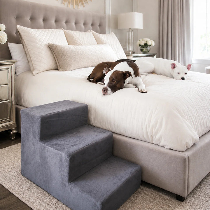Animals Matter Companion 3-Step Charcoal dog stairs for bed in a bright luxury bedroom, featuring two dogs resting on a white bed beside gray pet steps.